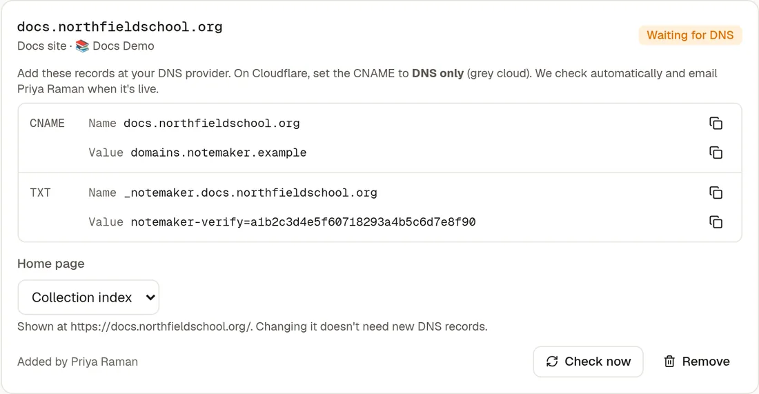 A domain waiting for DNS, with the CNAME and TXT records to copy, a Home page choice and the Check now and Remove buttons